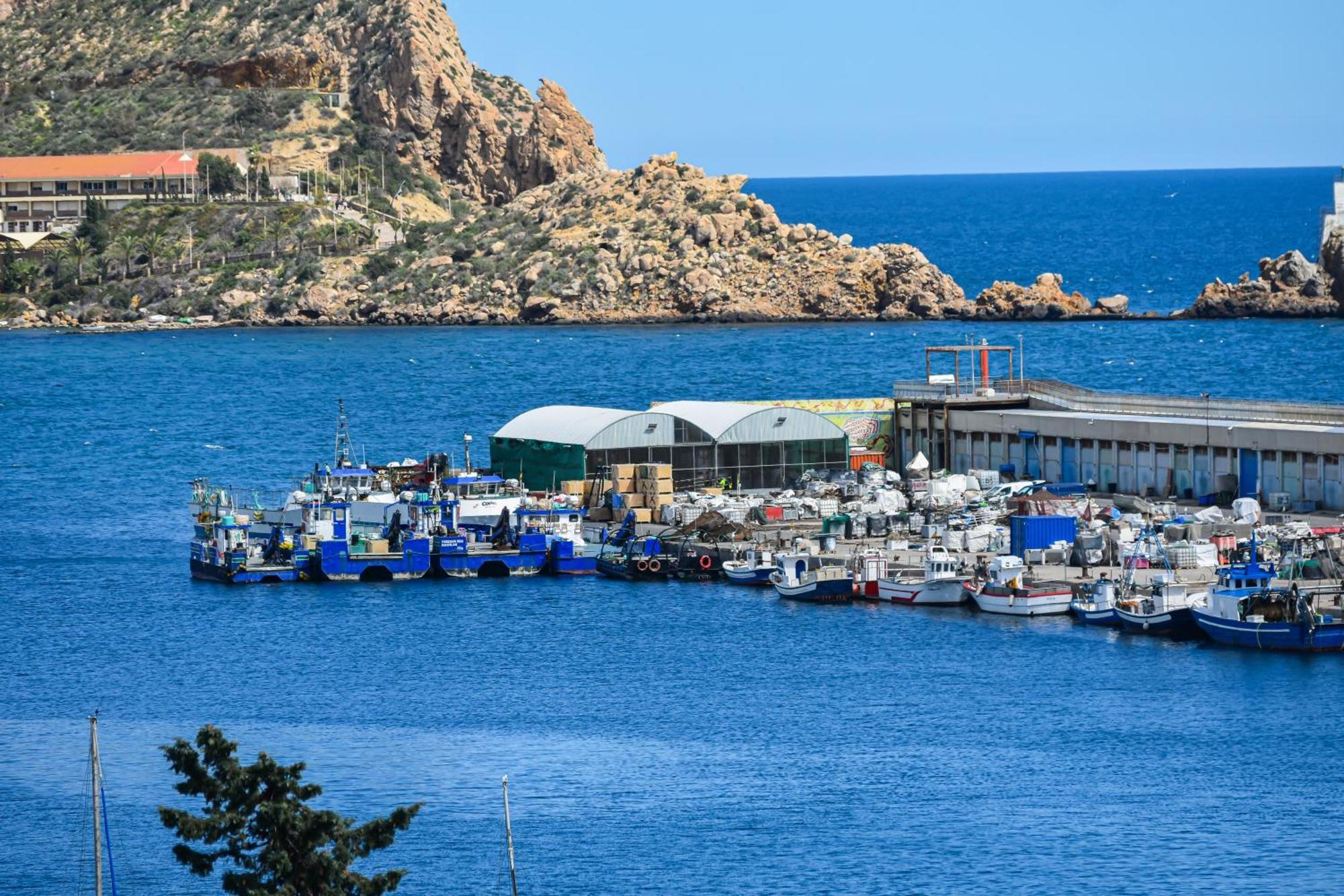 Dream View Aguilas - By Aloha Palma Buitenkant foto