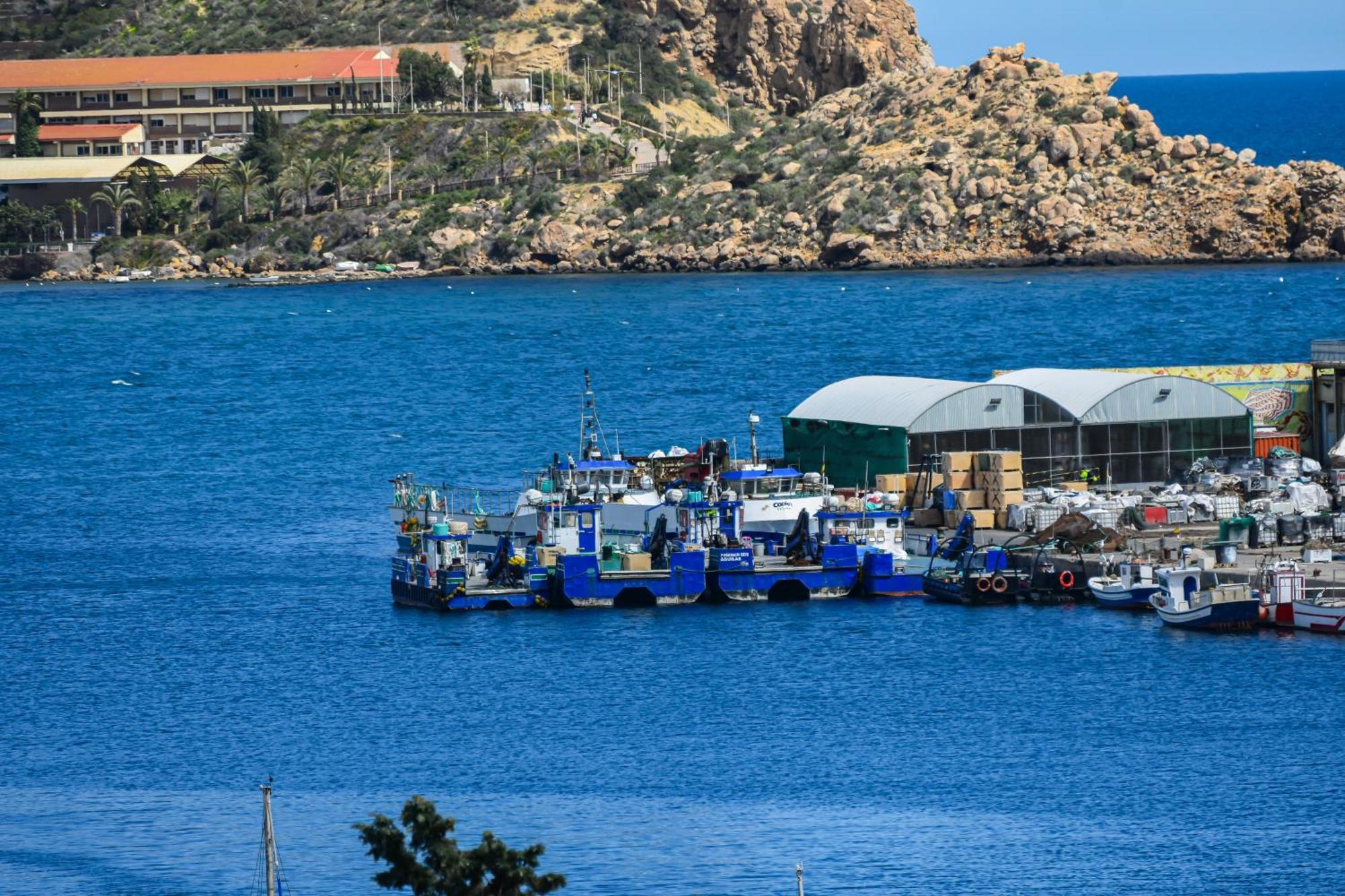 Dream View Aguilas - By Aloha Palma Buitenkant foto